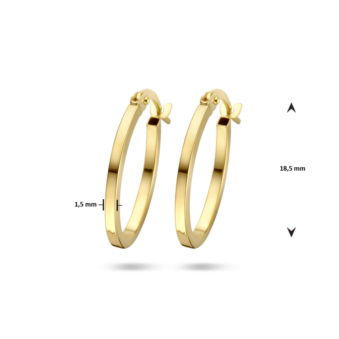 oorringen 14K geelgoud