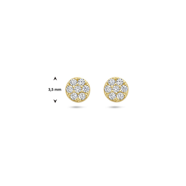 oorknoppen zirkonia 14K geelgoud