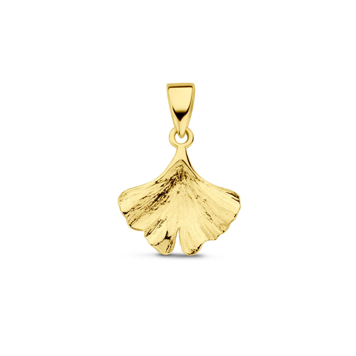 De hanger ginkgo blad 14K geelgoud van Van der Kooij Collectie is een verfijnde dameshanger in de vorm van een ginkgo blad, met textuurdetails en klein oog, getoond tegen een witte achtergrond.