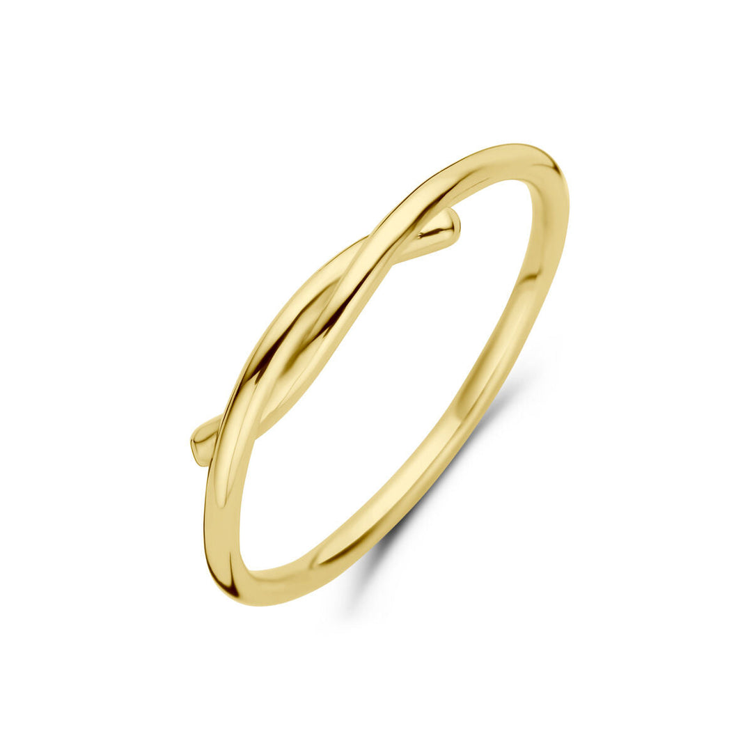 De Van der Kooij Collectie ring 14K geelgoud heeft een eenvoudig, delicaat gedraaid ontwerp dat tijdloze elegantie belichaamt, weergegeven op een witte achtergrond.