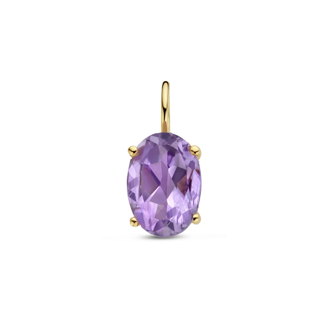 De hanger amethist 14K geelgoud van Van der Kooij Collectie heeft een ovale, gefacetteerde amethist edelsteen in een zetting van 14k geelgoud met vier pootjes en een gouden oogje, afgebeeld op een witte achtergrond.