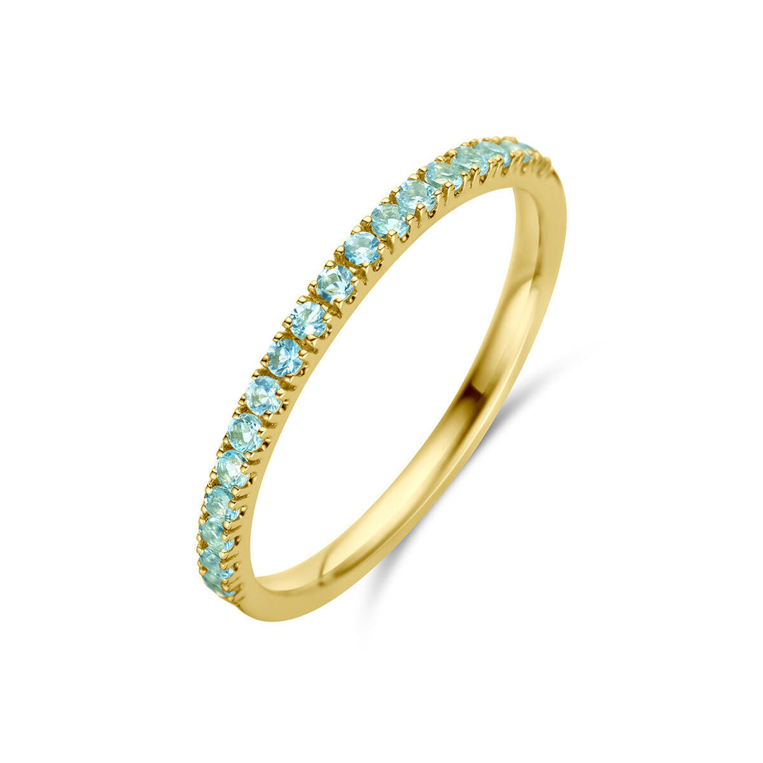 De Van der Kooij Collectie ring met geboortesteen aquamarijn maart 14K geelgoud heeft een dunne 14k gouden band bezet met kleine, ronde aquamarijnsteentjes langs de bovenkant, weergegeven op een witte achtergrond.