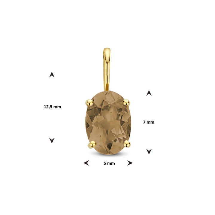 De Van der Kooij Collectie hanger rookkwarts 14K geelgoud heeft een ovale rookkwarts edelsteen (12,5x7x5 mm) in een luxe geelgouden zetting, met een eenvoudige lus voor eenvoudige bevestiging aan je favoriete ketting.