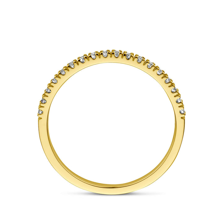Van der Kooij Collectie ring met geboortesteen zirkonia april in 14K geelgoud, met kleine ronde zirkonia’s langs de bovenkant van de band, rechtopstaand weergegeven op een witte achtergrond.