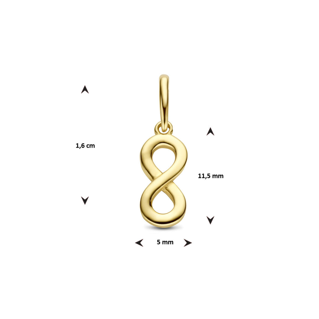 hanger infinity 14K geelgoud