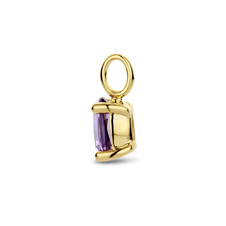 Zijaanzicht van de Van der Kooij Collectie hanger amethist 14K geelgoud, met een rechthoekige amethist in een vierpootzetting met een grote ronde hangeroog, ideaal voor damessieraden. Afgebeeld op een witte achtergrond.