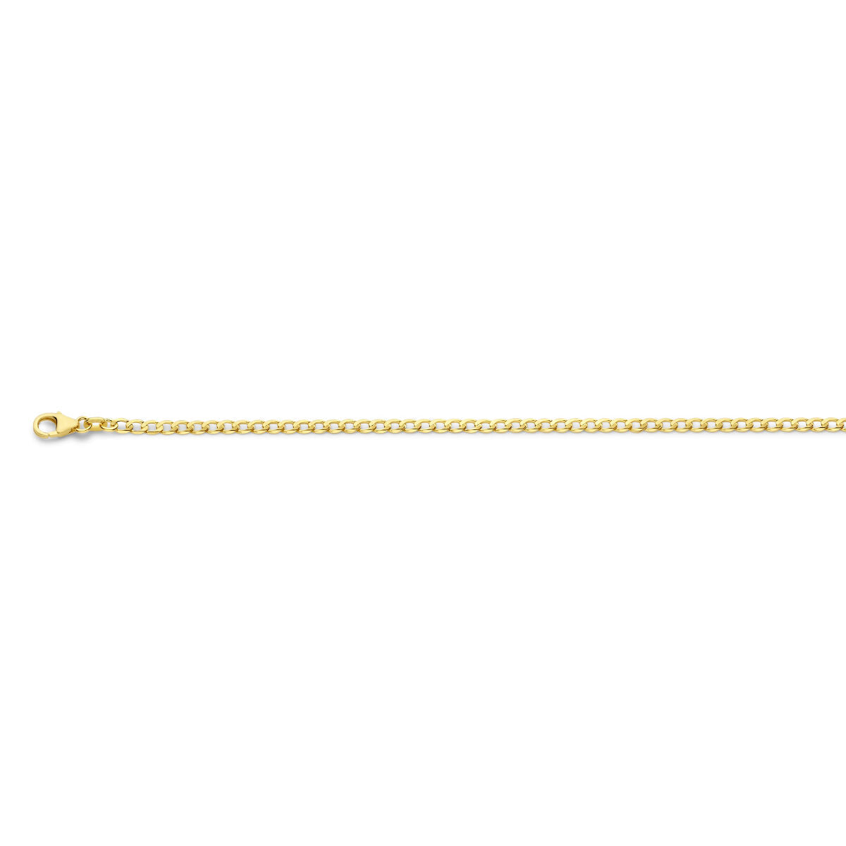 De Van der Kooij Collectie gourmette 6-zijdes geslepen 2,6 mm 14K geelgoud armband heeft een dunne gouden ketting met gourmette schakels en een kleine karabijn sluiting, afgebeeld op een effen witte achtergrond.