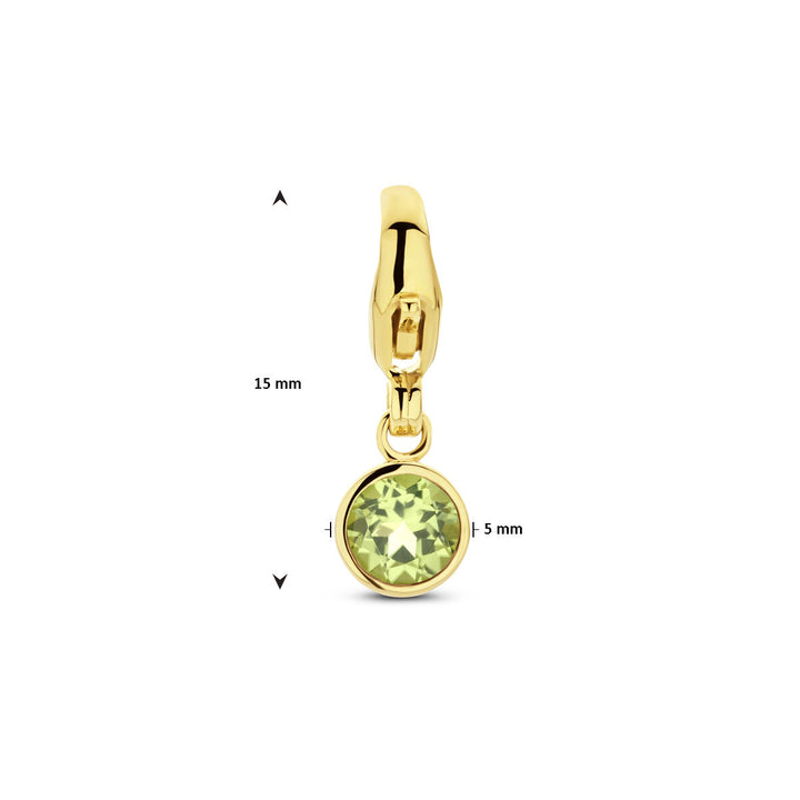 slotbedel met geboortesteen 14K geelgoud