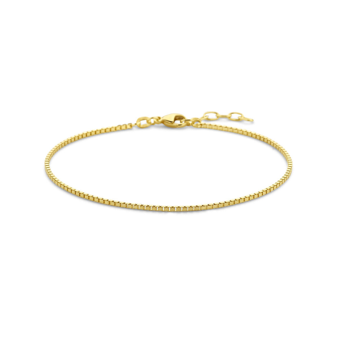 De Van der Kooij Collectie armband venetiaans 1,3 mm 19 + 2 cm (heren lengte) in 14K geelgoud heeft een box link ontwerp met verstelbaar karabijnslot en verlengschakels, afgebeeld op een witte achtergrond.