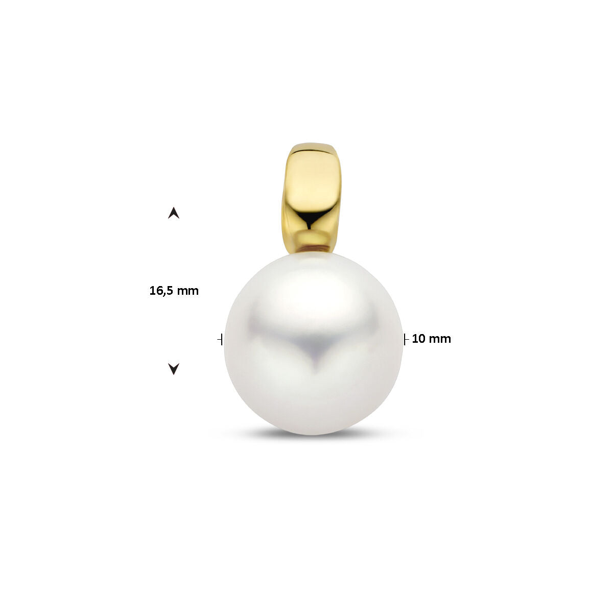 De Van der Kooij Collectie hanger parel 14K geelgoud heeft een witte ronde zoetwaterparel (ca. 10 mm doorsnede) aan een gepolijste geelgouden hanger, totale lengte 16,5 mm, afgebeeld op een effen witte ondergrond.