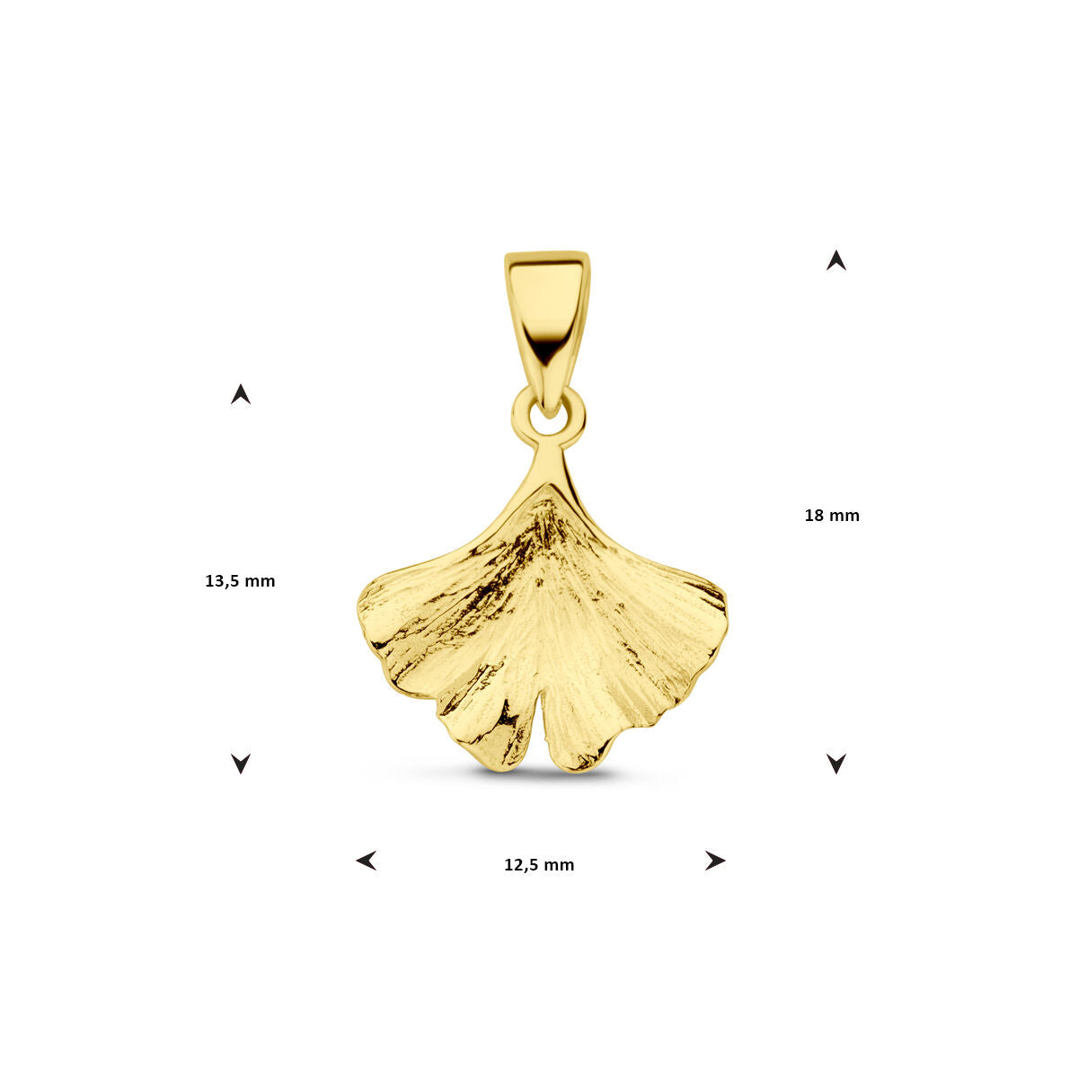 Van der Kooij Collectie hanger ginkgo blad 14K geelgoud met textuur, gepresenteerd op een witte achtergrond. Afmetingen: 18 mm hoog, 13,5 mm breed links en 12,5 mm breed onderaan.