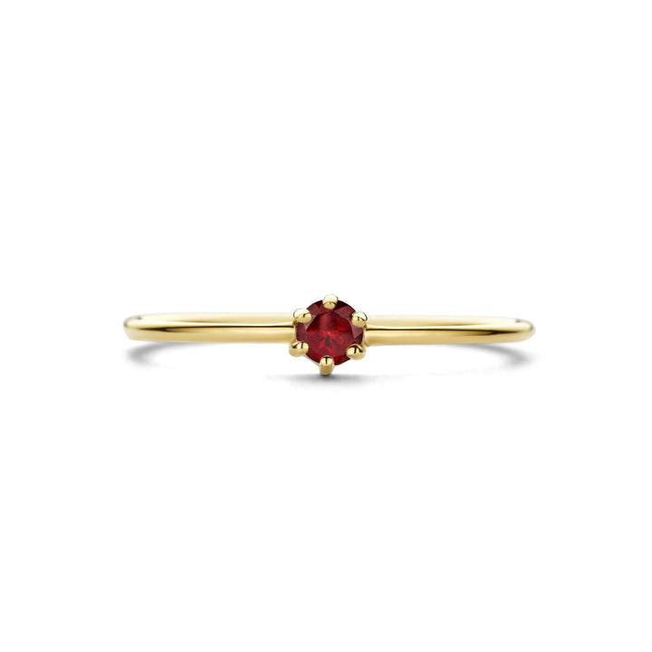 ring met geboortesteen granaat  januari 14K geelgoud