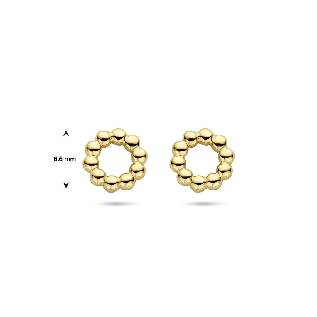oorknopppen cirkel bolletjes 14K geelgoud