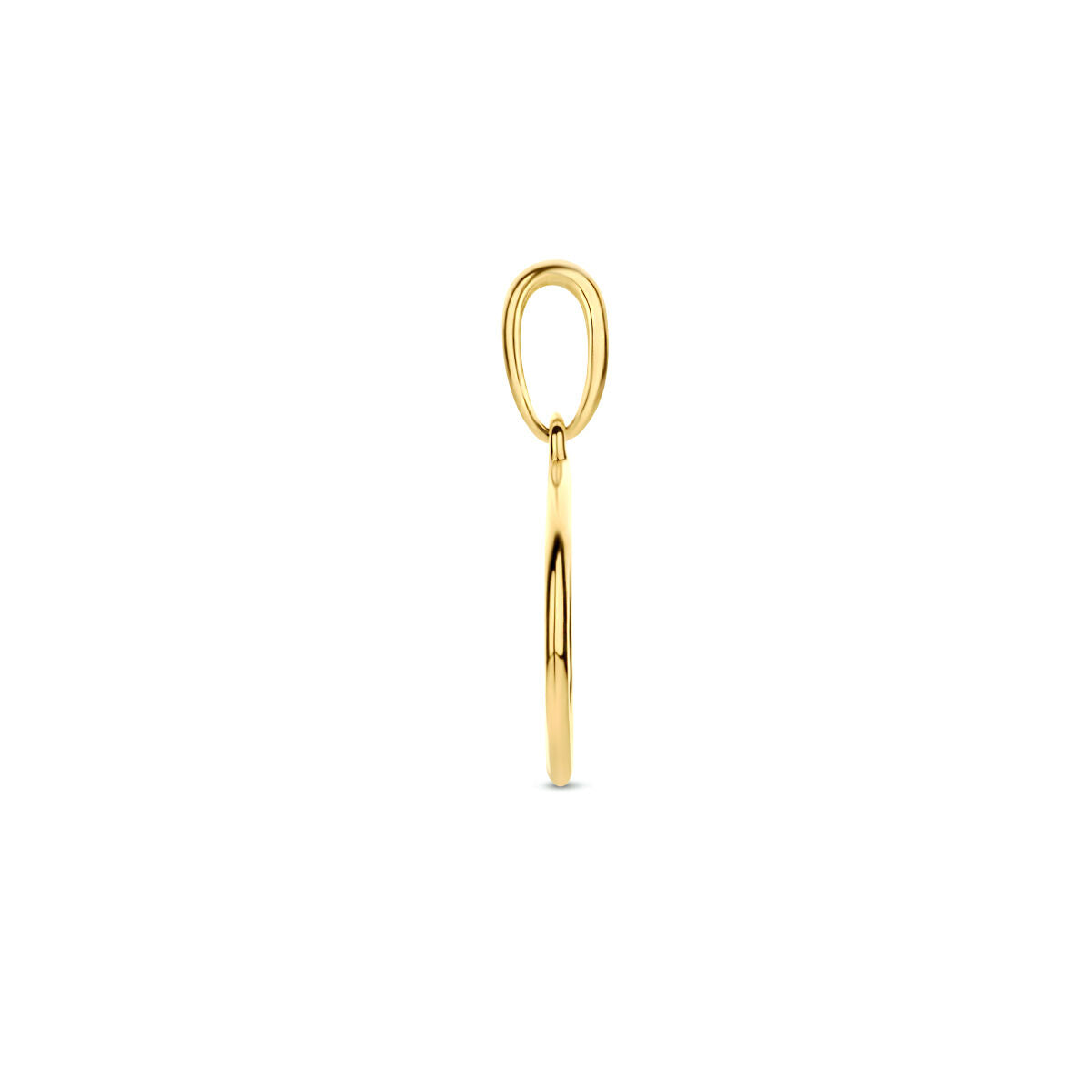 De Van der Kooij Collectie hanger rondje 14K geelgoud is een eenvoudige, gepolijste geelgouden hanger met een ronde vorm - een elegante dames sieraad voor dagelijks gebruik, afgebeeld tegen een effen witte achtergrond.