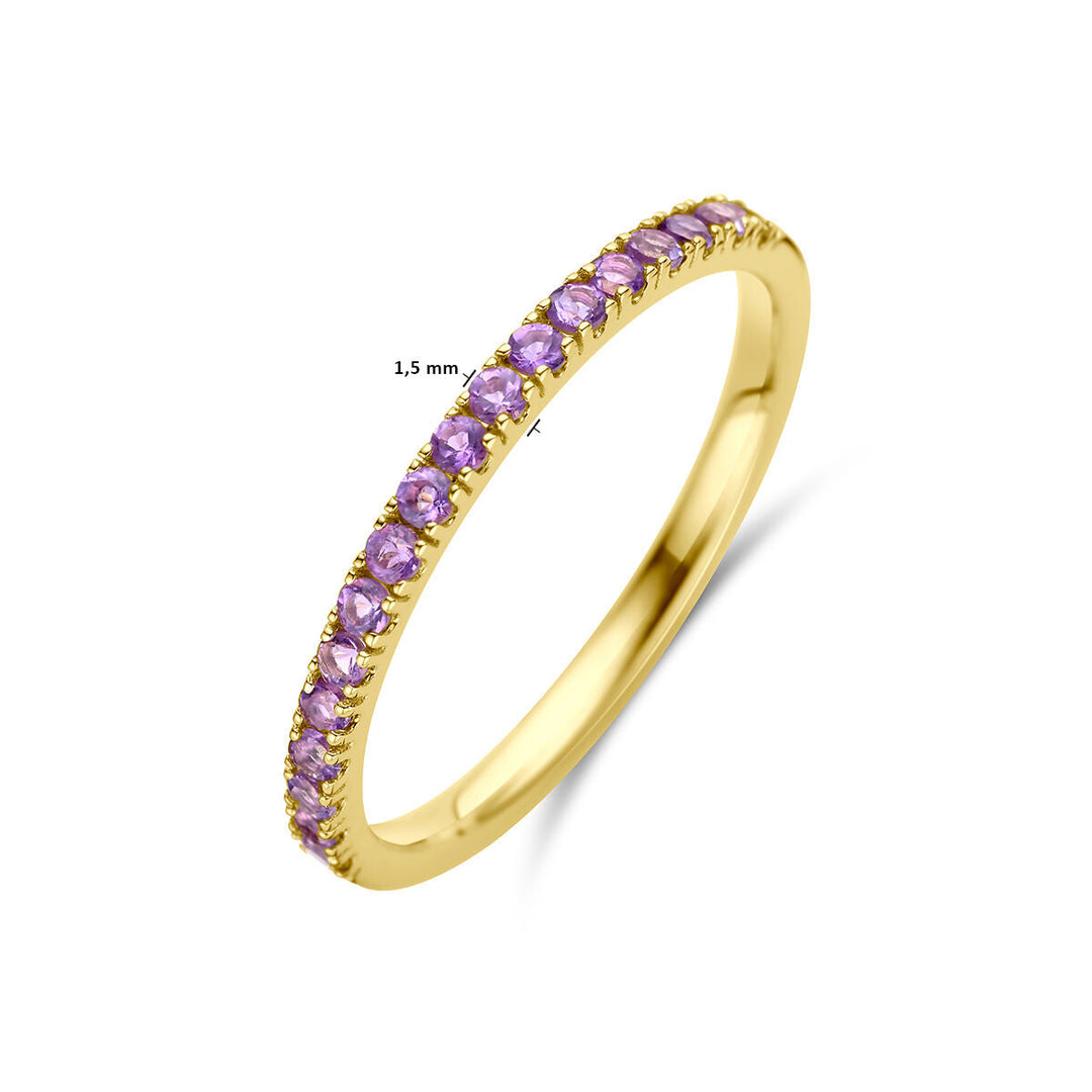 De Van der Kooij Collectie ring met geboortesteen amethist februari 14K geelgoud is een delicate gouden ring met een rij amethiststenen van 1,5 mm, prachtig glanzend als de geboortesteen van februari.