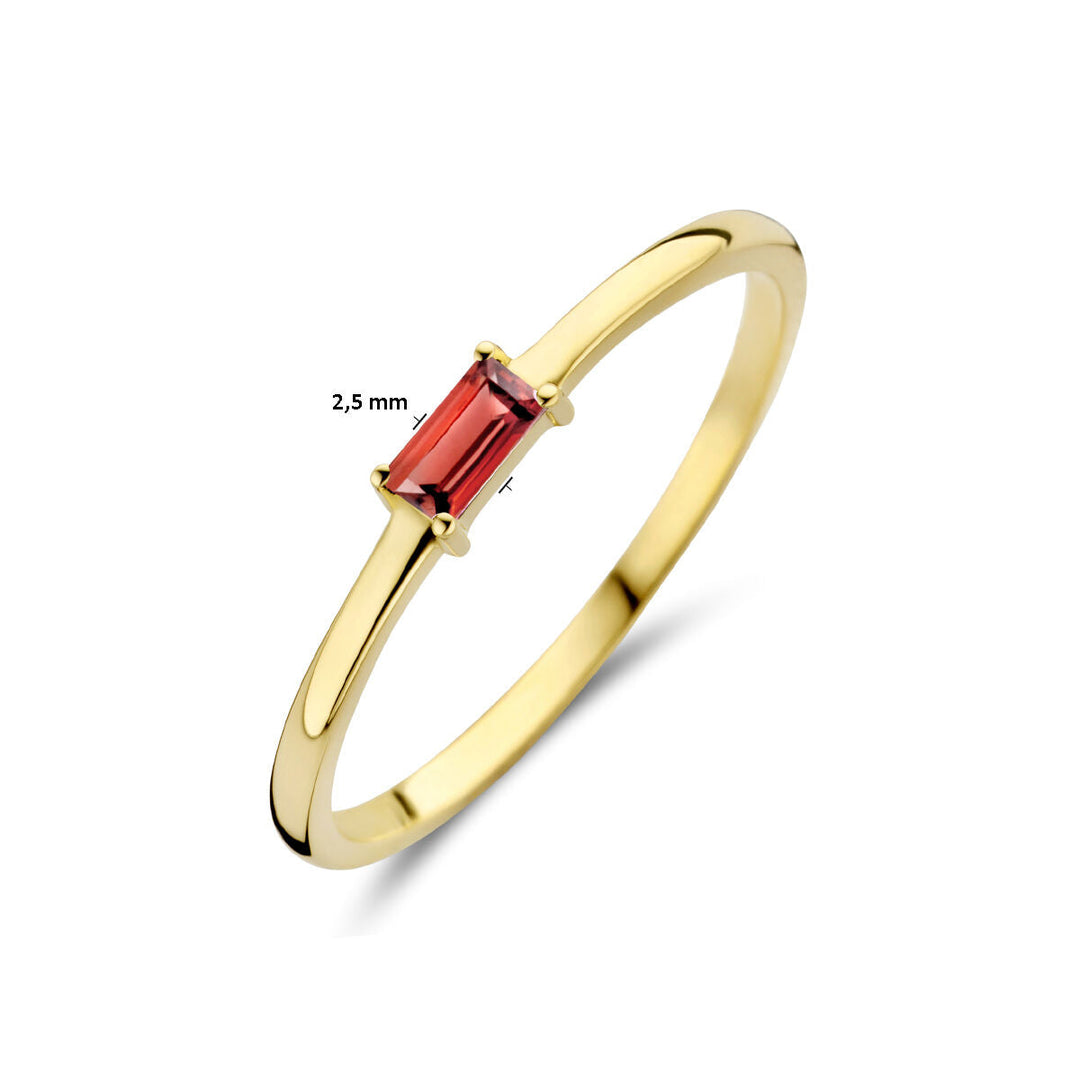De Van der Kooij Collectie ring met geboortesteen granaat januari is een delicate 14K geelgouden ring met een rechthoekige granaat van 2,5 mm in een stevige vierpoots zetting.