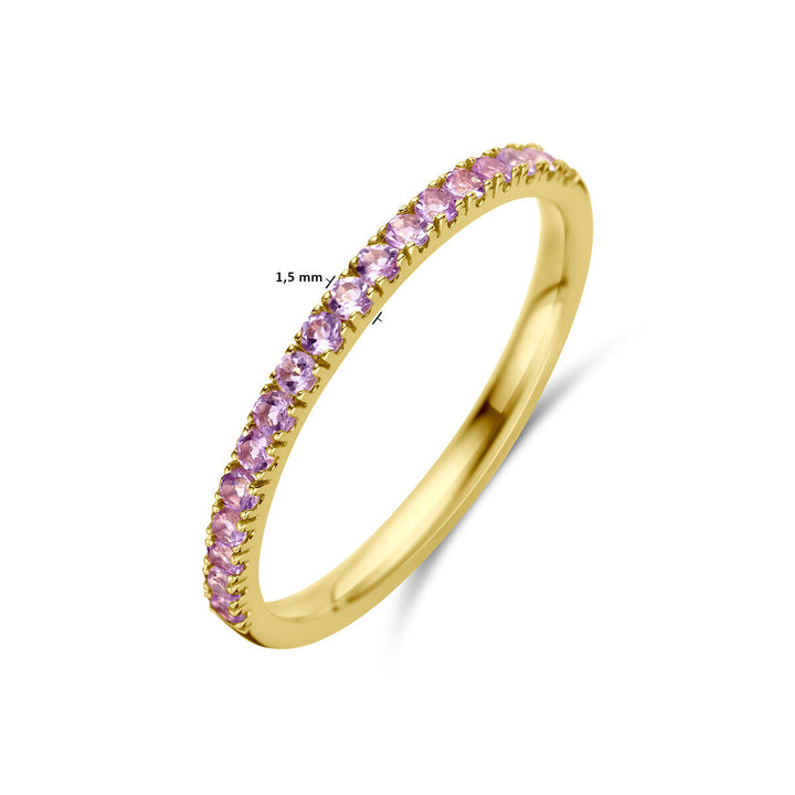 Van der Kooij Collectie ring met geboortesteen licht amethist juni, robuuste uit 14K geelgoud met een dunne band van 1,5 mm en kleine ronde licht amethist stenen langs de bovenzijde voor een elegante uitstraling.