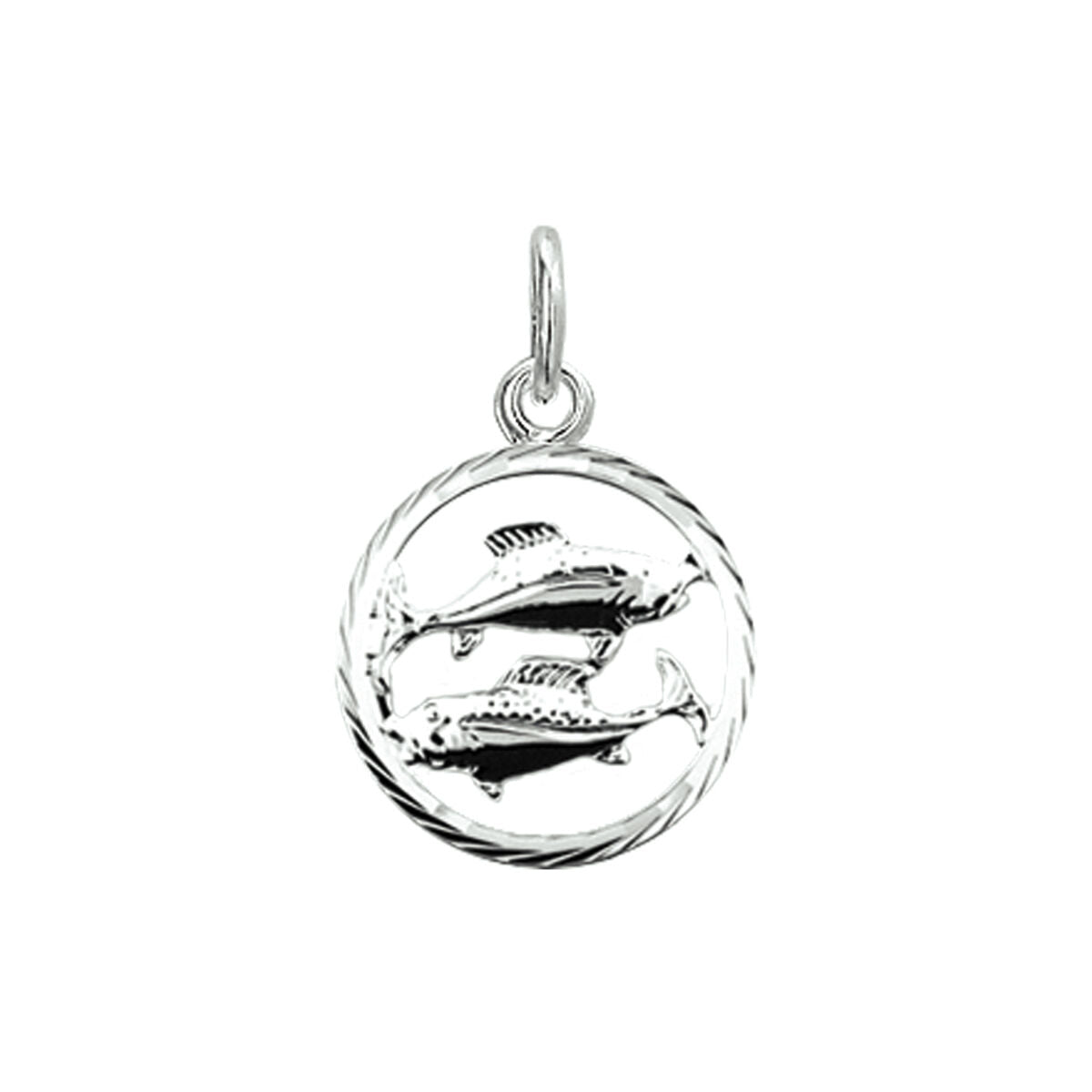 De Van der Kooij Collectie hanger sterrenbeeld gediamanteerd zilver wit is een stijlvolle unisex hanger met een sprankelende zilveren afwerking, perfect voor het toevoegen van een elegante touch aan elke ketting.