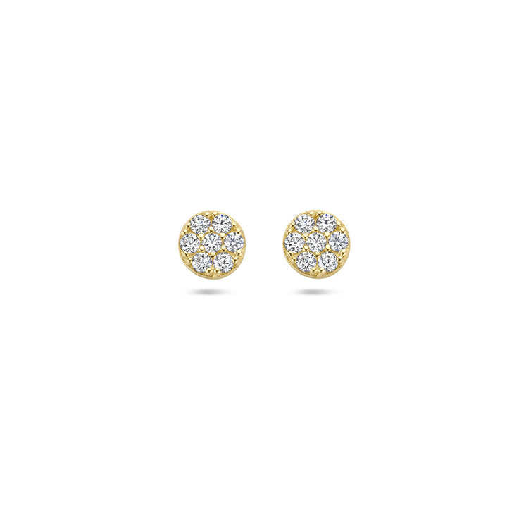 oorknoppen zirkonia 14K geelgoud