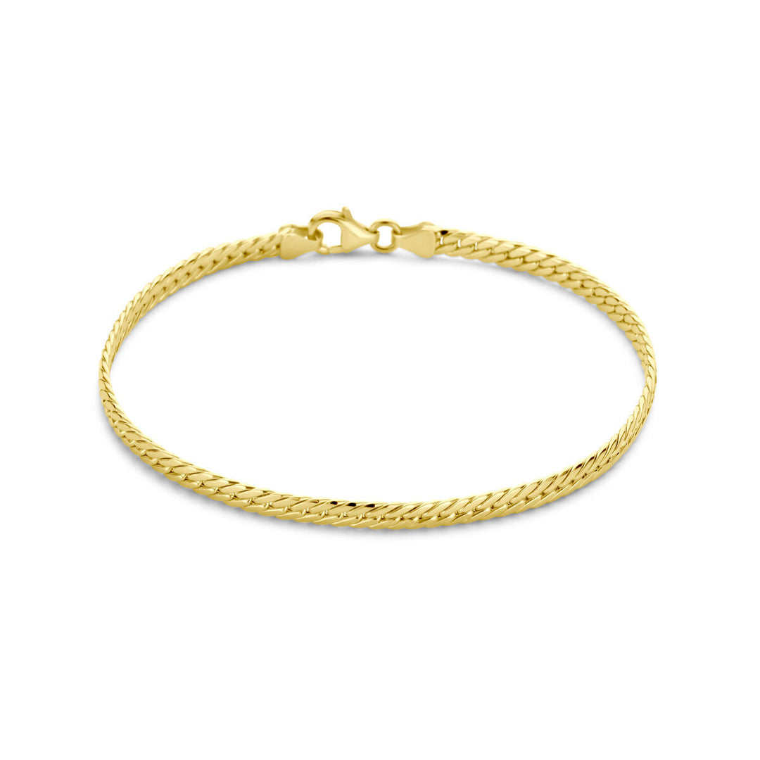 De Van der Kooij Collectie armband gourmette 3,4 mm 19 cm in 14K geelgoud is een elegante damesarmband met een platte gourmette schakel en een stevige sluiting, getoond op een witte achtergrond.