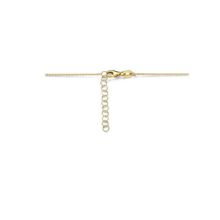 graveercollier plaat 1,6 mm 41 + 4 cm 14K geelgoud