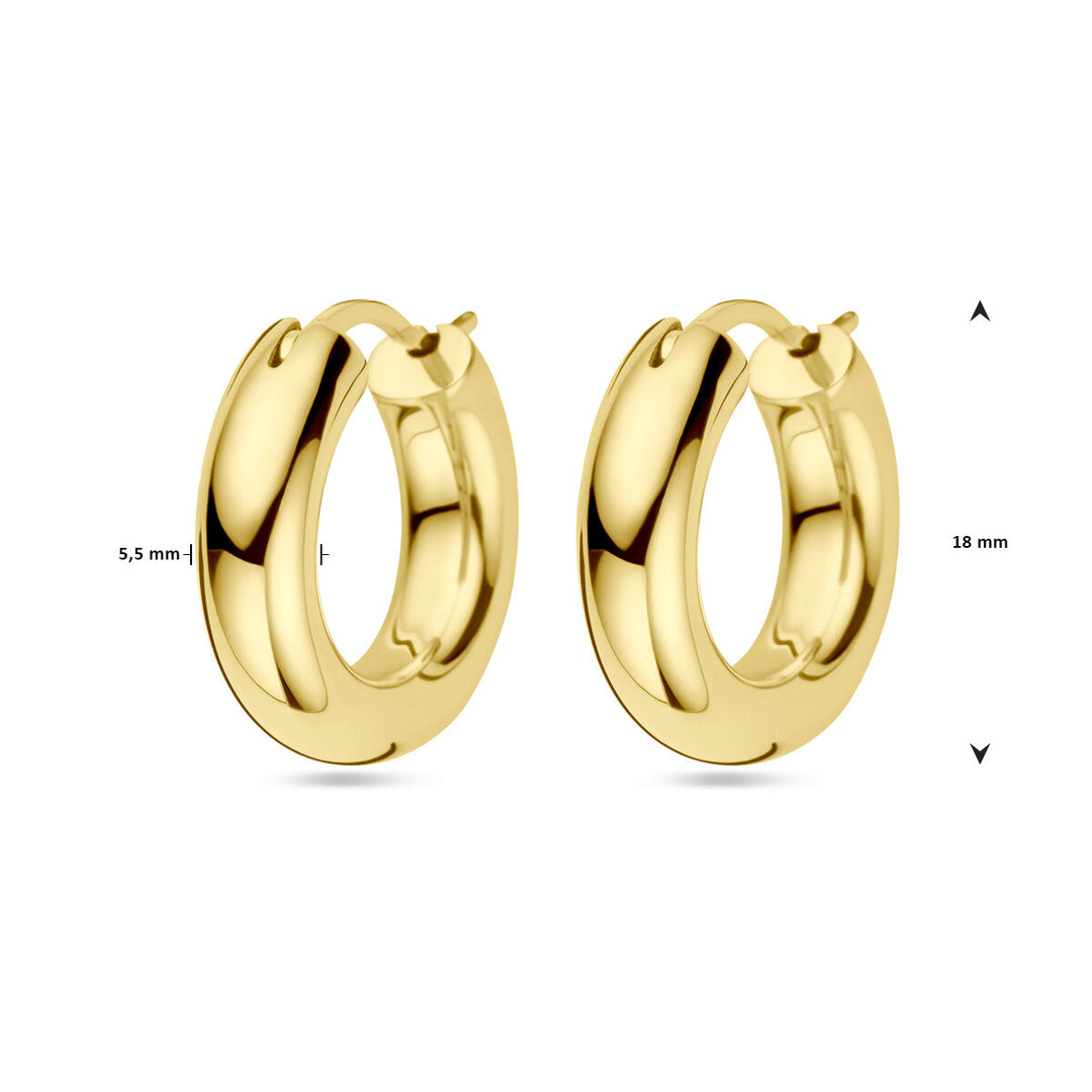 oorringen 1 micron zilver verguld (geel)