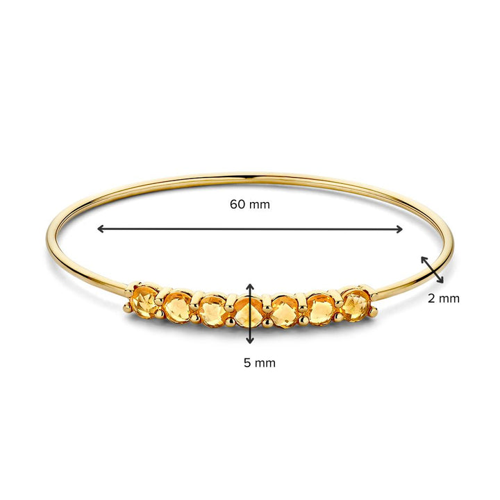 Geelgouden Bangle met Citrien 14 Karaat, 60x50 mm, Warme Gloed