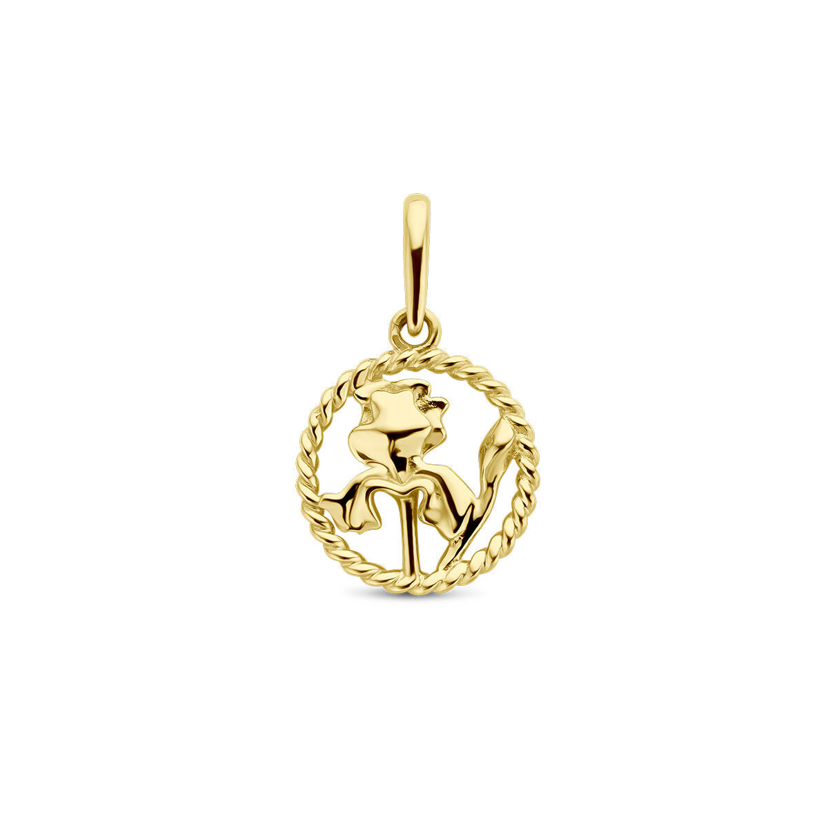 De hanger met geboortebloem 14K geelgoud uit de Van der Kooij Collectie heeft een gestileerde bloem in een ronde, gedraaide touwrand en past aan elke ketting. Een luxe accessoire voor elke gelegenheid.
