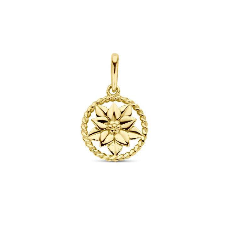 De hanger met geboortebloem 14K geelgoud uit de Van der Kooij Collectie heeft een verhoogd bloemmotief en sierlijke touwrand. Ideaal voor luxe sieradenliefhebbers, voorzien van een lusje voor je ketting.