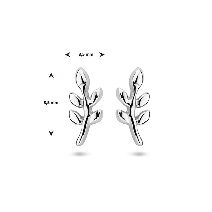 oorknoppen blad zilver gerhodineerd