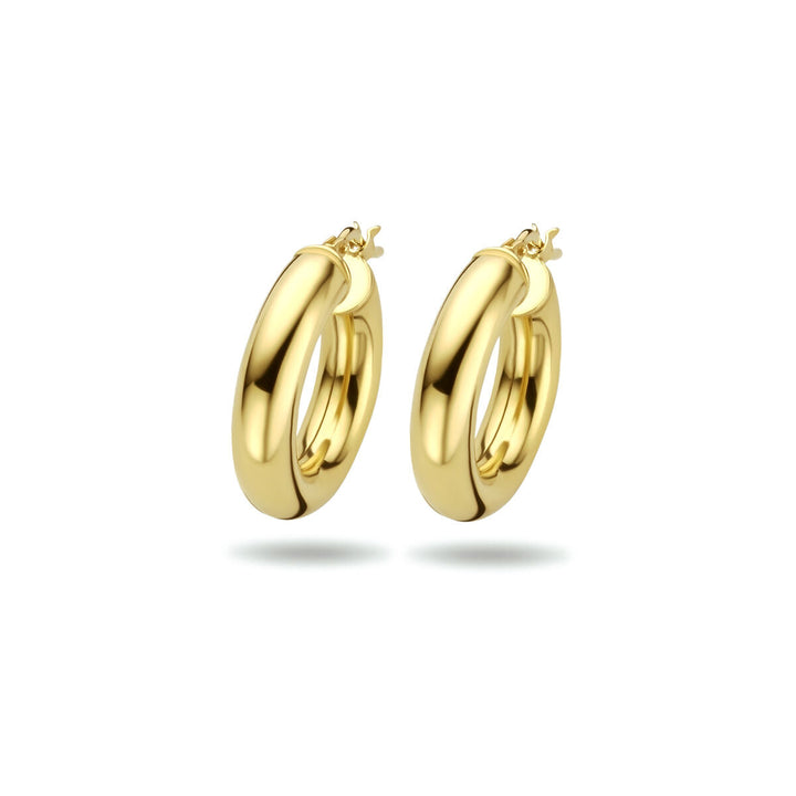 oorringen ronde buis 5,0 mm 1 micron zilver verguld (geel)