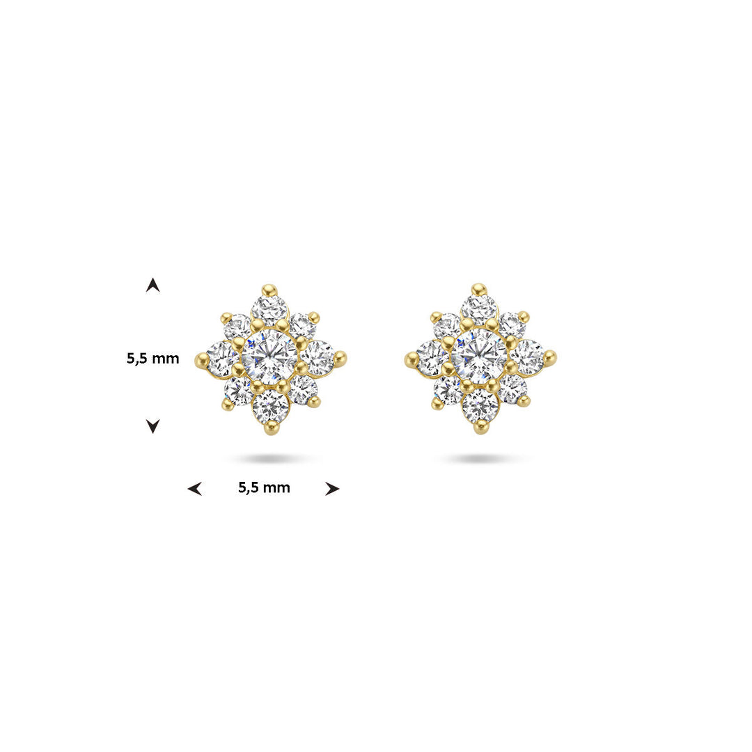 oorknoppen zirkonia rozet 14K geelgoud