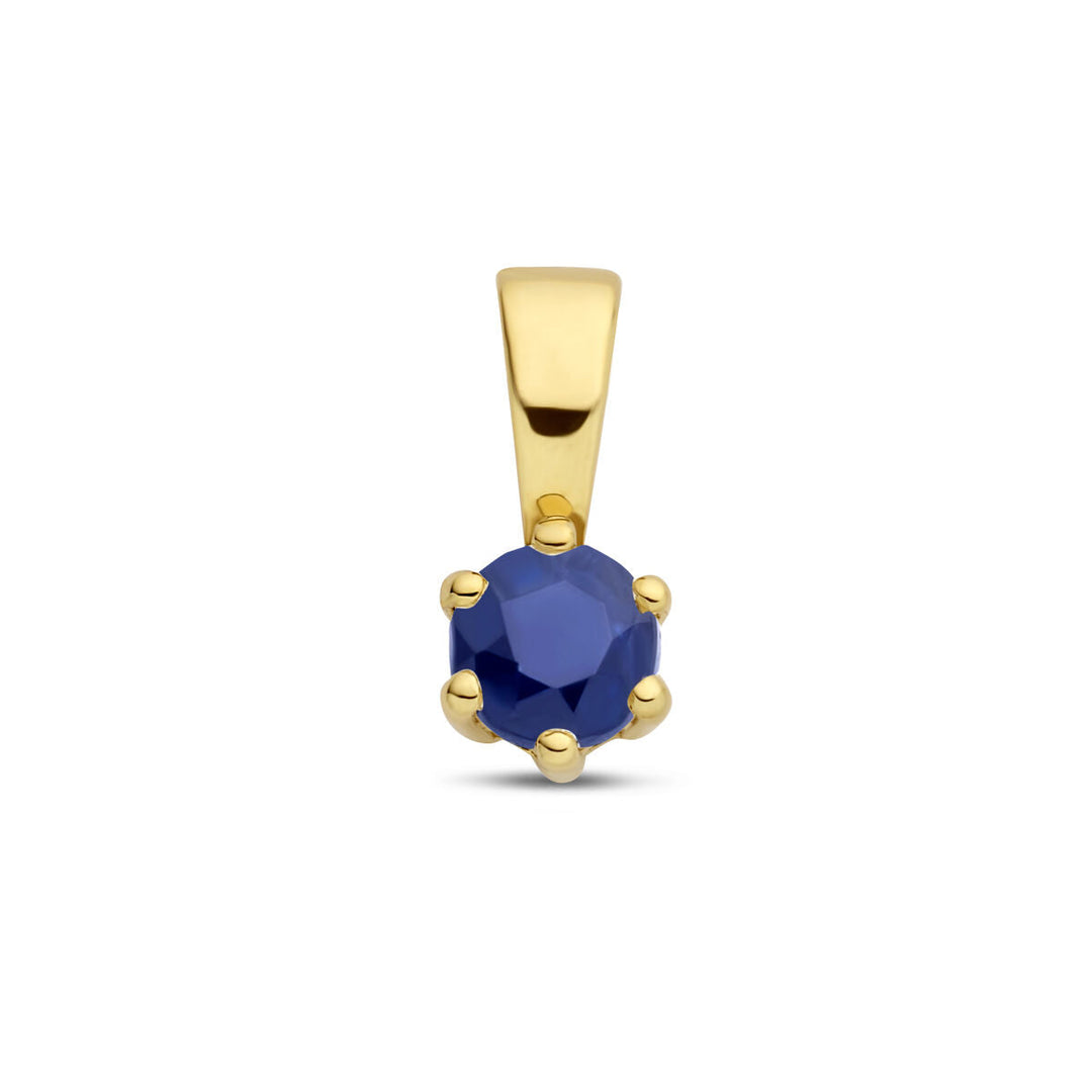 De hanger met geboortesteen 14K geelgoud uit de Van der Kooij Collectie heeft een ronde, gefacetteerde saffiersteen in zes pootjes en is prachtig gepresenteerd op een witte achtergrond.