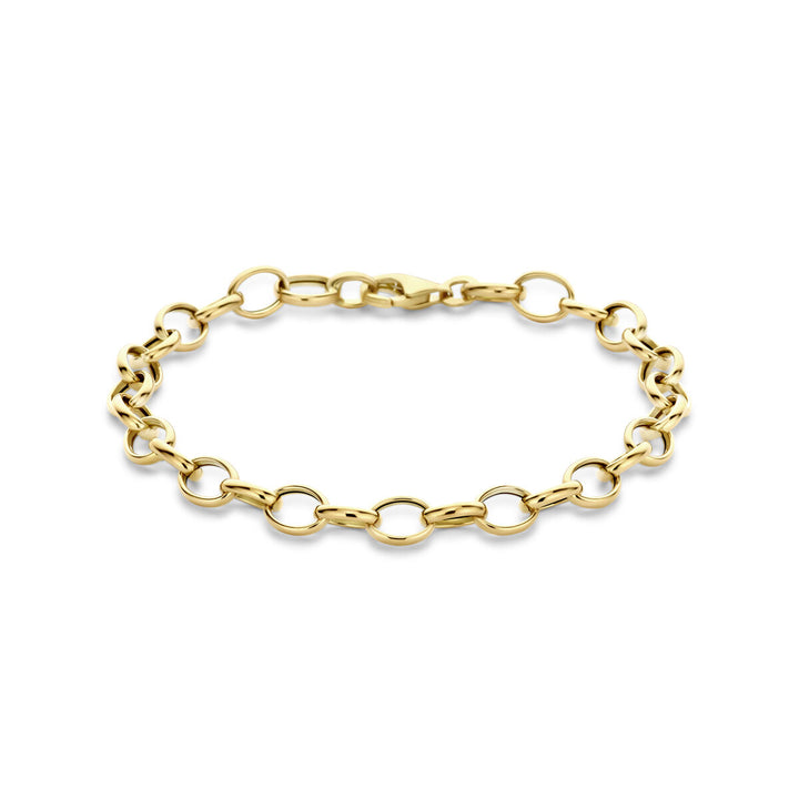 armband fantasie schakel 6,0 mm 19 cm 14K geelgoud