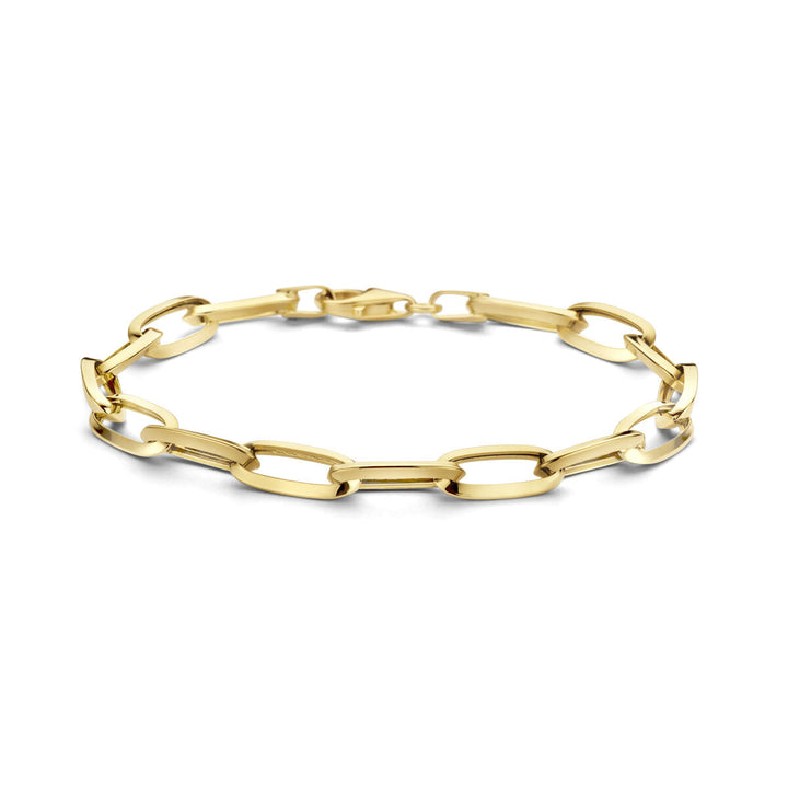 Gouden armband dames paperclip spitse buis 14K