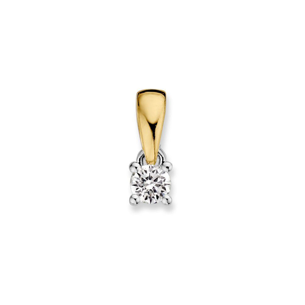 Bicolor gouden solitair hanger met een 0,10 ct briljant diamant, met een glanzende gouden en zilveren afwerking.