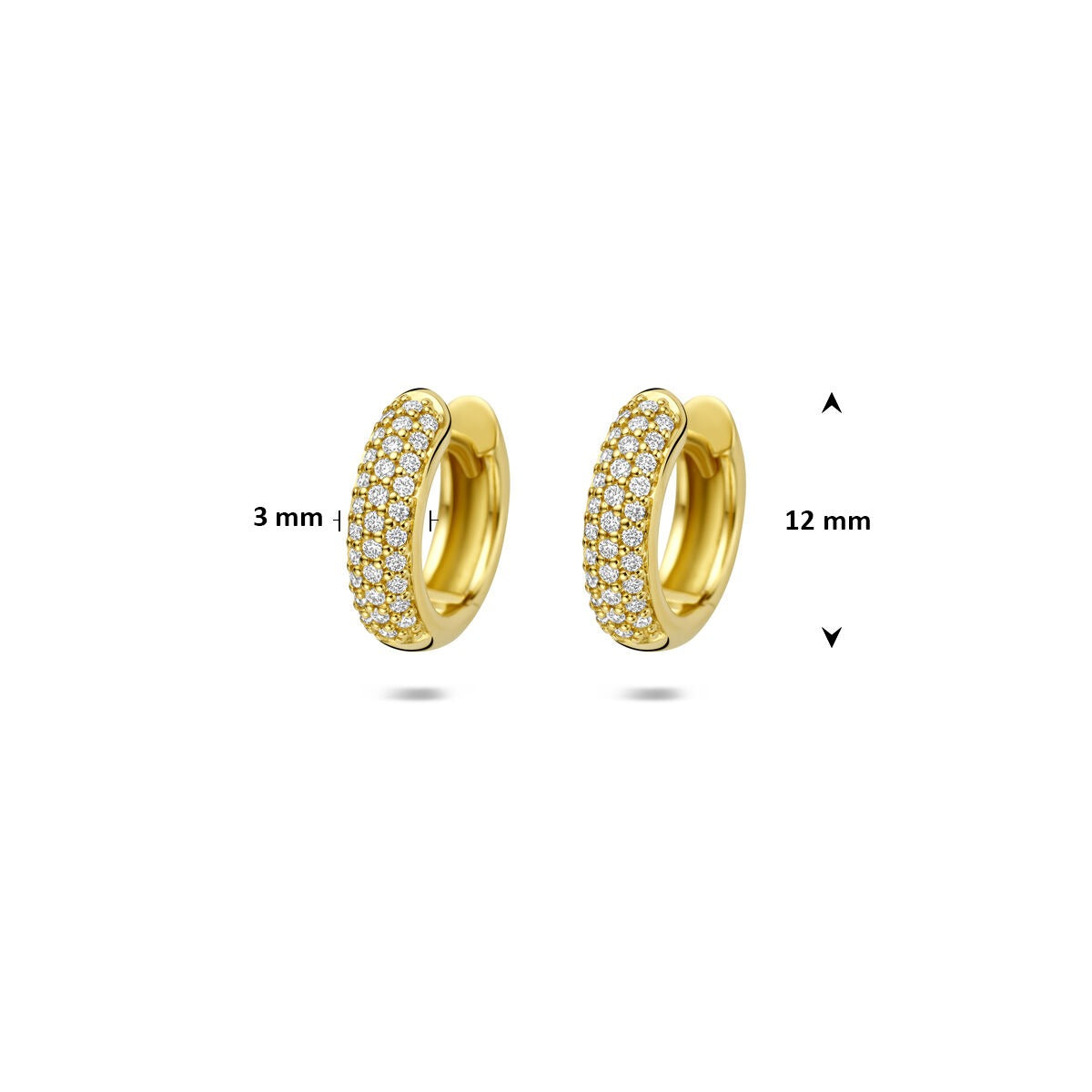14k Żółte złoto kolczyki koła z diamentem