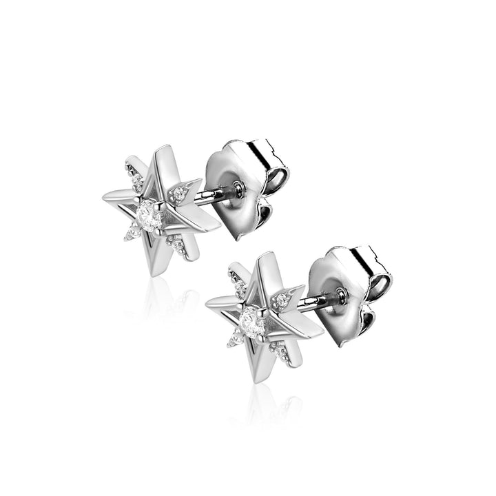 Zinzi Oorbellen Zilver ZIO2838