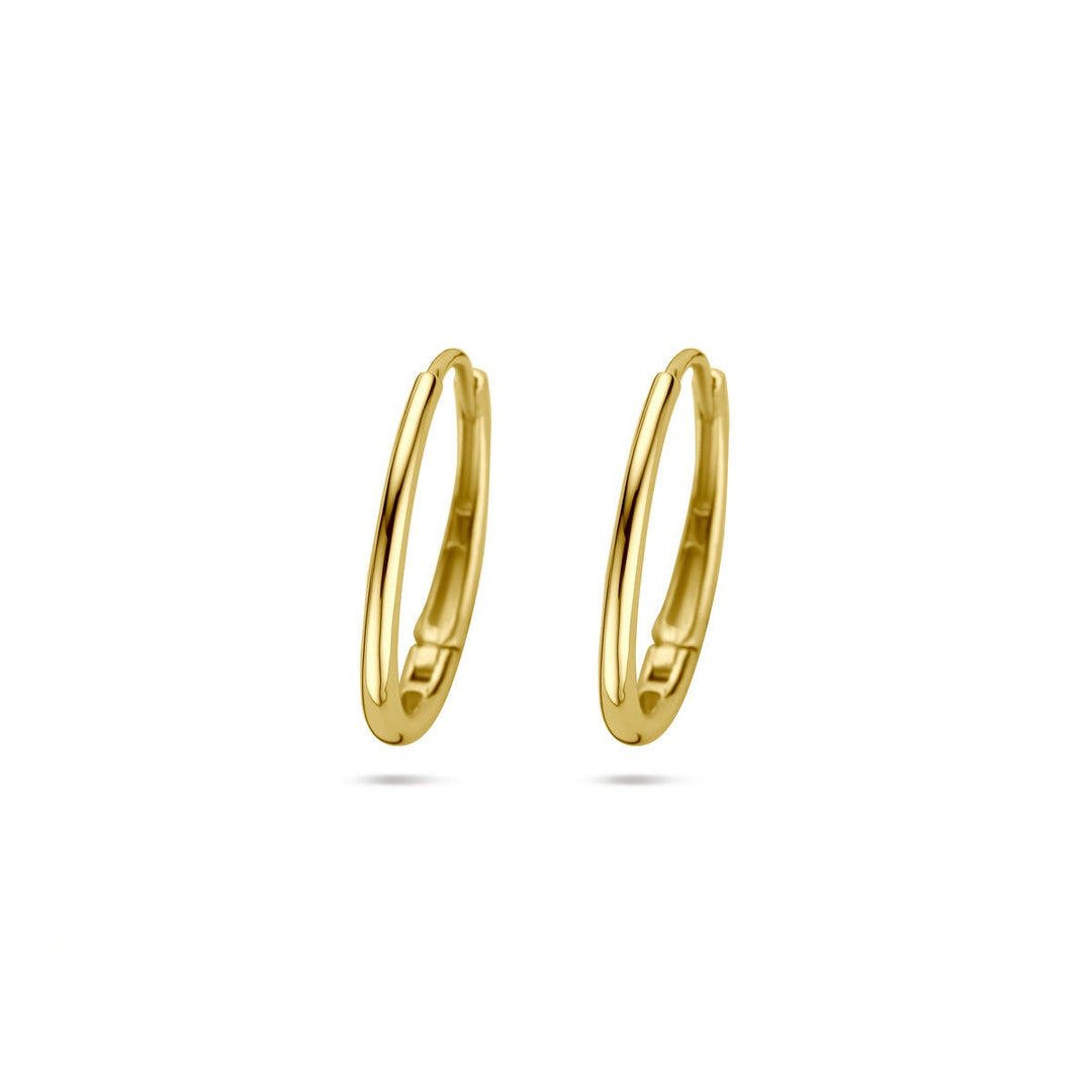 14k Geelgouden dames oorringen met scharniersluiting