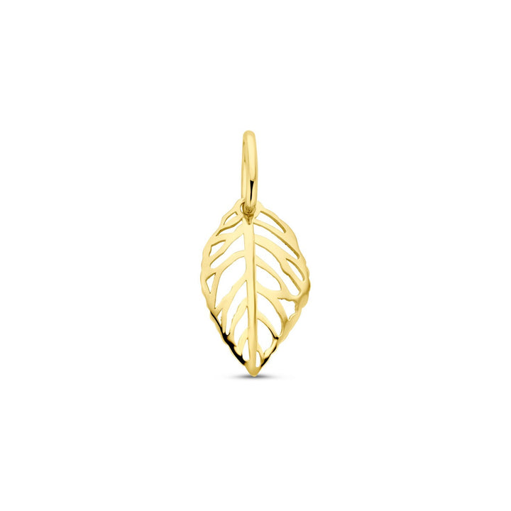 14k Geelgouden hanger in de vorm van een blad – 17 mm