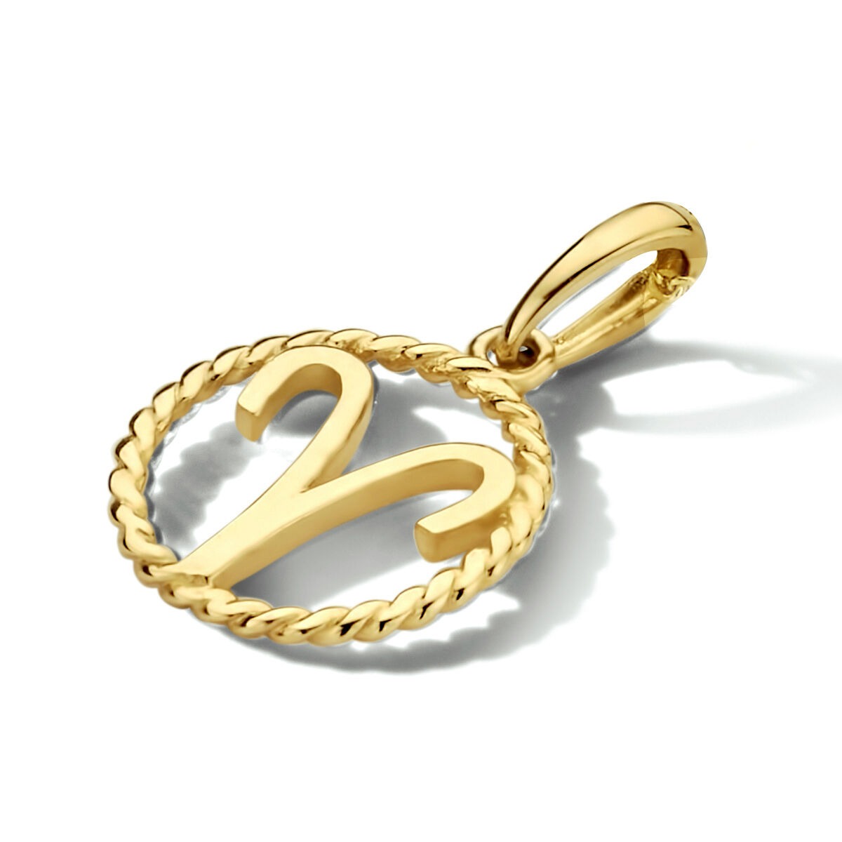 14k Geelgouden sterrenbeeld hanger rond