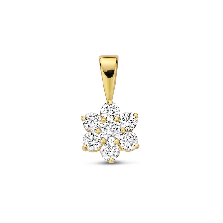 Gouden hanger met zirkonia – 14k, entourage stijl