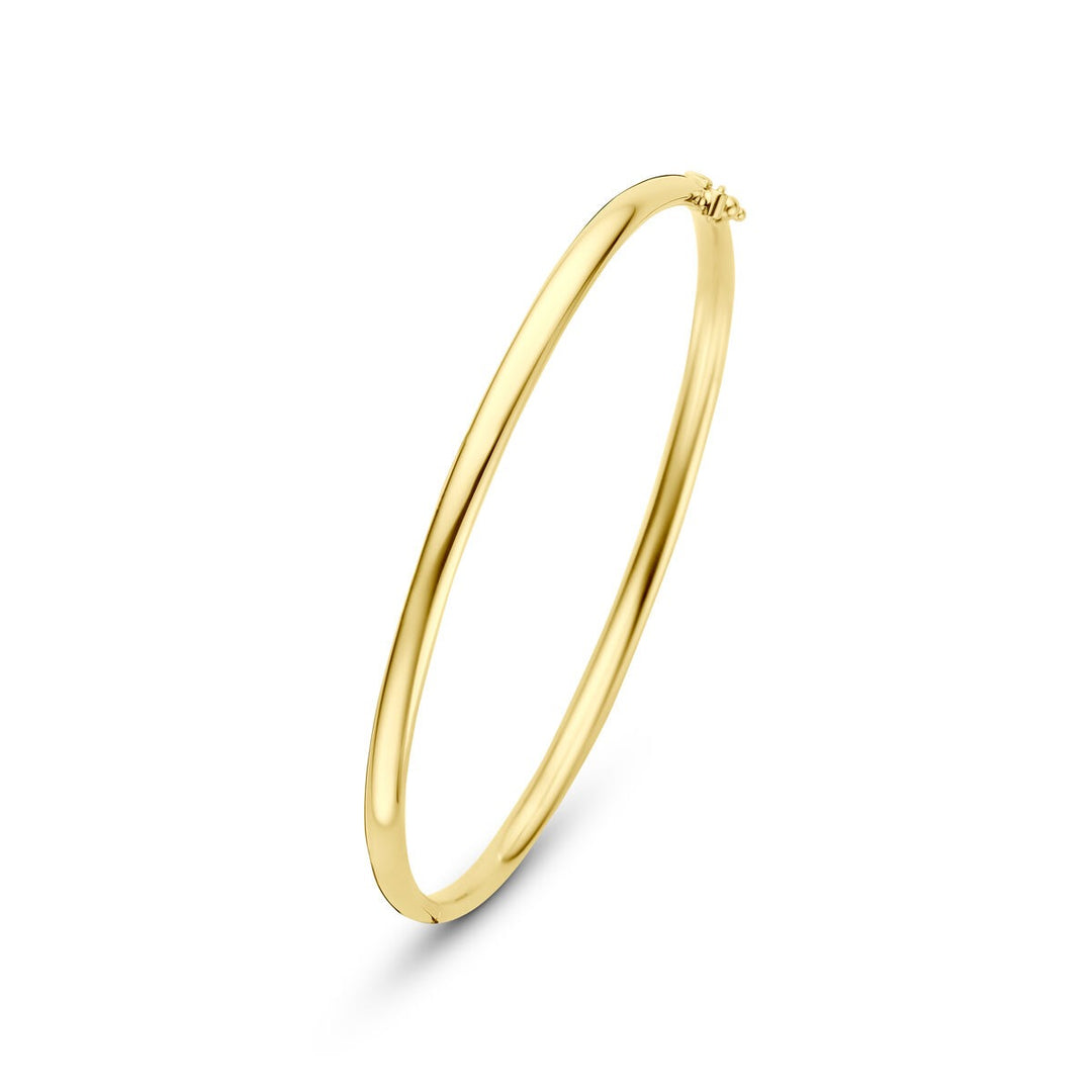 14k Geelgouden Silgold Bangle Dames