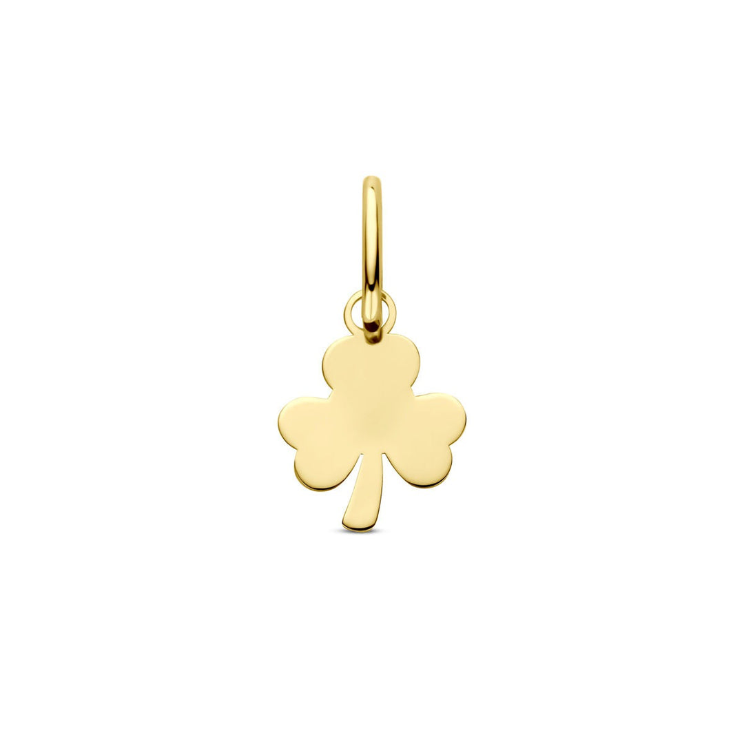 14k Geelgouden Ketting met Hanger Klaver