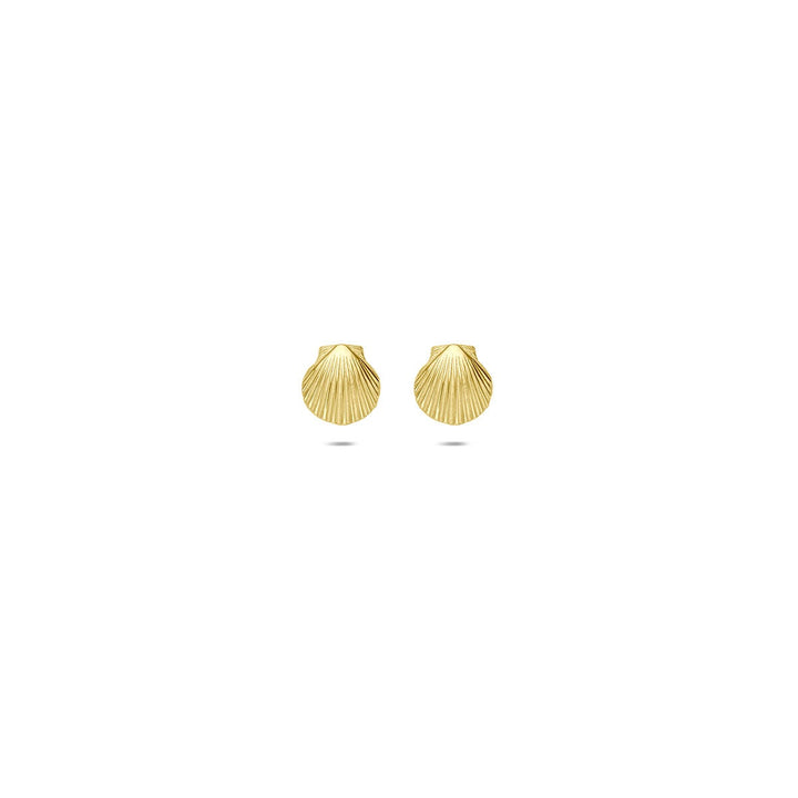 9k Geelgouden schelp oorknopjes