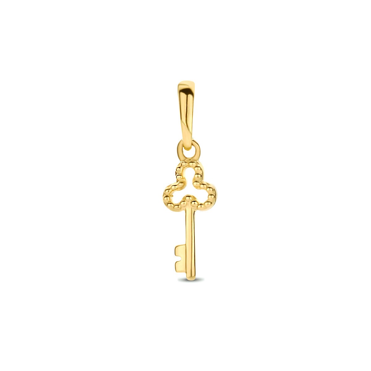 Gele hanger in de vorm van een sleutel, uitgevoerd in 9 karaat goud met een gedetailleerd ontwerp.
