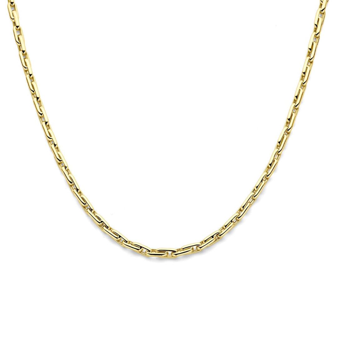 14k Geelgouden Collier Anker Schakel