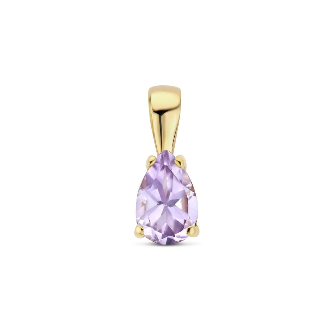 14k Geelgouden Hanger met Amethist
