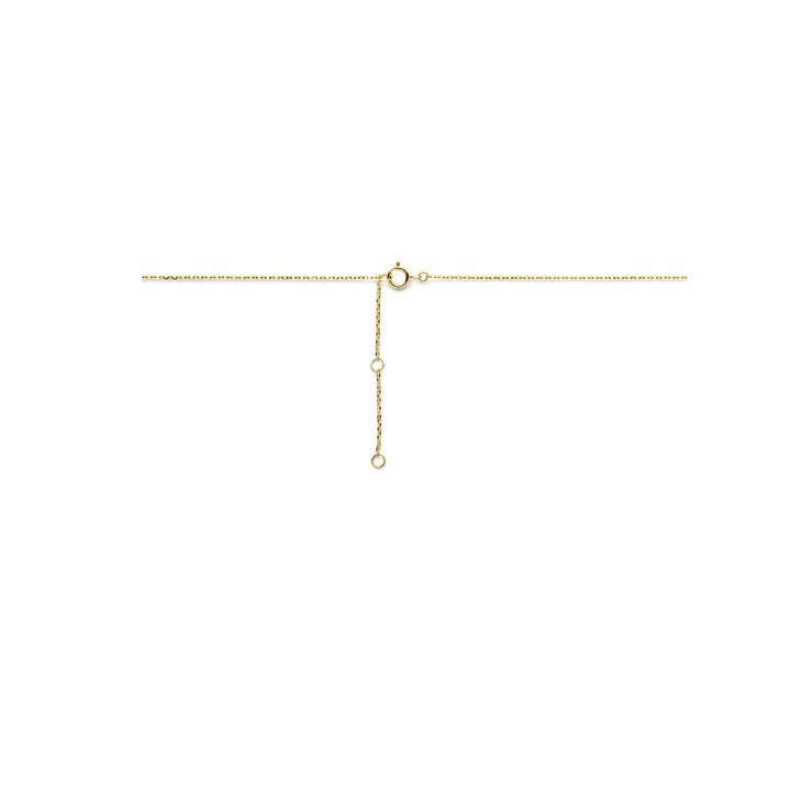 Gouden ketting met hartje – 14k anker collier