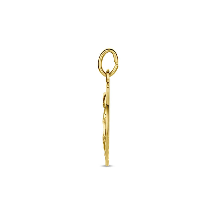9k Geelgouden sterrenbeeld hanger